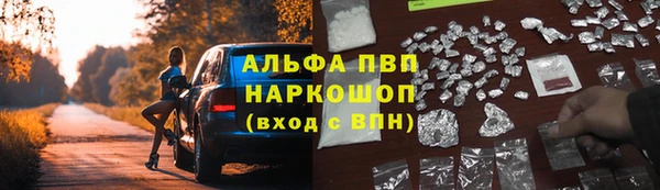 амф Алексин