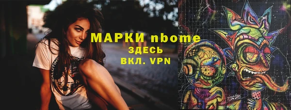 мдпв Инта