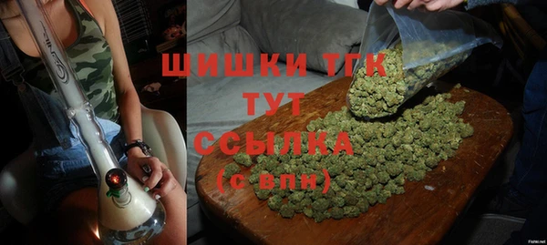бутират Инсар