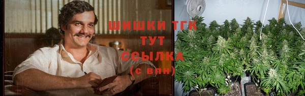 гашик Алзамай