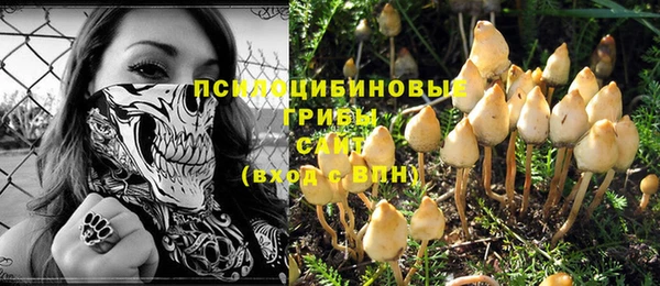 индика Абинск